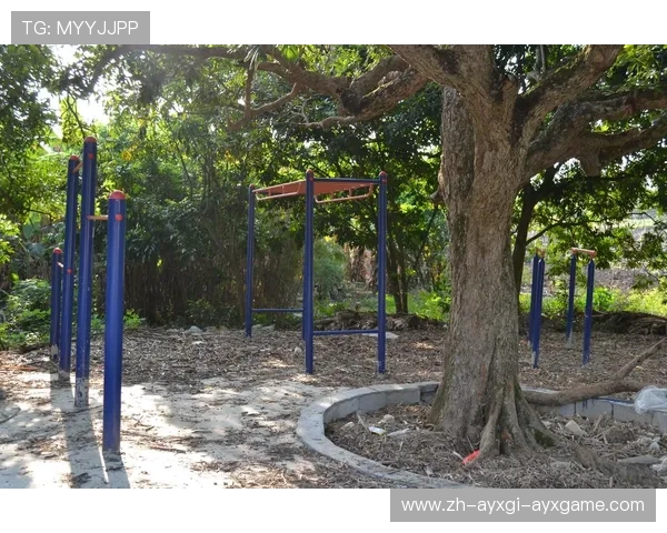 高校体育健身器材采购标准及设施覆盖现状 高校体育健身器材采购标准及设施覆盖现状