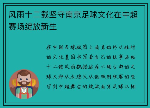 风雨十二载坚守南京足球文化在中超赛场绽放新生